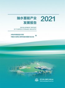 抽水蓄能产业发展报告2021