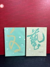 文学鉴赏概要+艺术鉴赏概要（2册合售）全新品