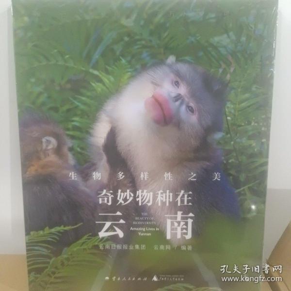 奇妙物种在云南：生物多样性之美