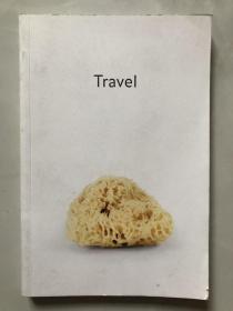 Travel by haim steinbach