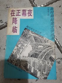 夜幕正在降临 都市夜生活纪实