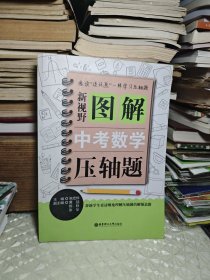 新视野.图解中考数学压轴题