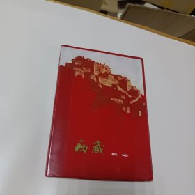 西藏日记本 (六插图 丰收粮食、鱼等)