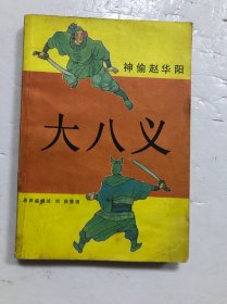 大八义 神偷赵华阳