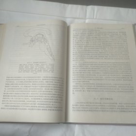 中枢神经系统解剖学