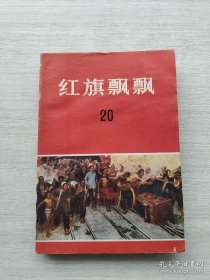 红旗飘飘 20