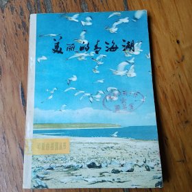 美丽的青海湖