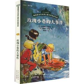 摆渡船当代世界儿童文学金奖书系  玫瑰小巷的大事件