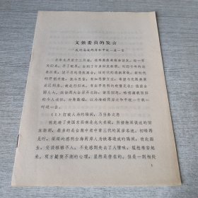 文强委员的发言