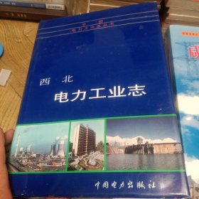 中国电力工业志丛书：西北电力工业志