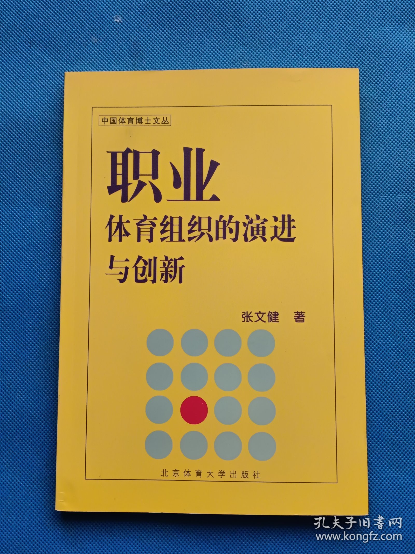 中国体育博士文丛：职业体育组织的演进与创新【书内干净】