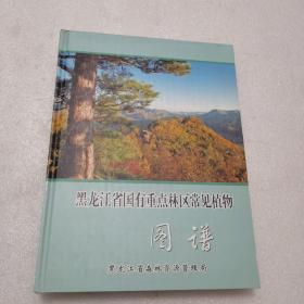 黑龙江省国有重点林区常见植物图谱