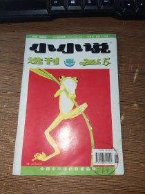 小小说选刊 2005