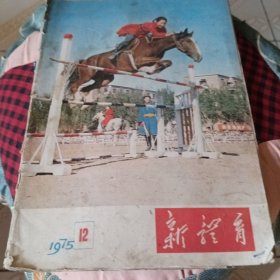 新体育1975～12