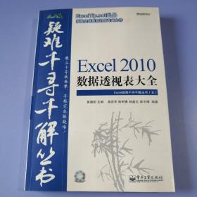 Excel 2010数据透视表大全