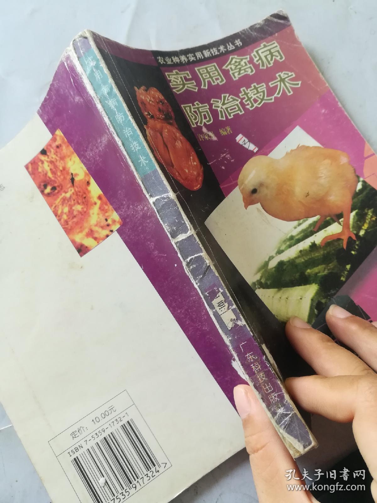 实用禽病防治技术