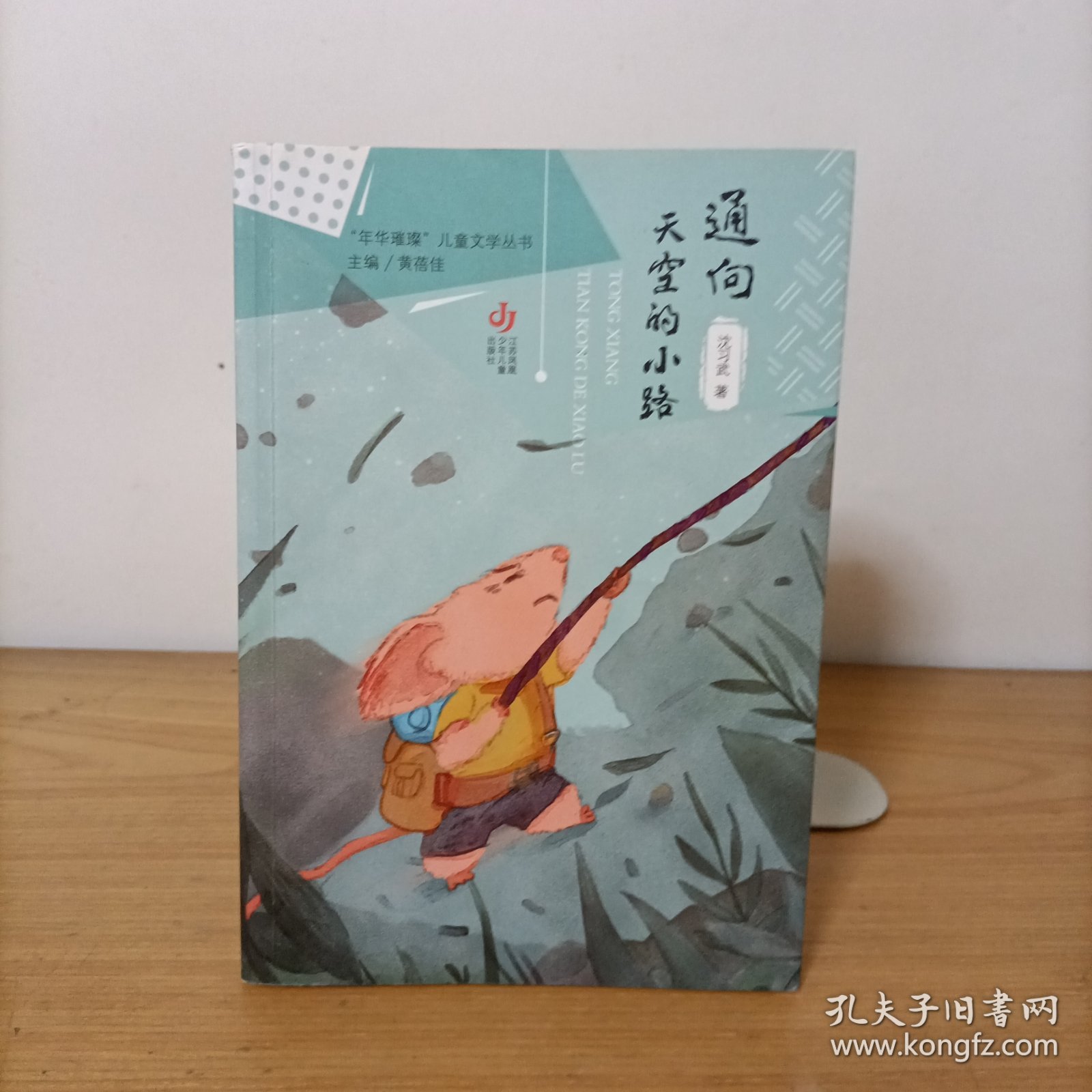 通向天空的小路