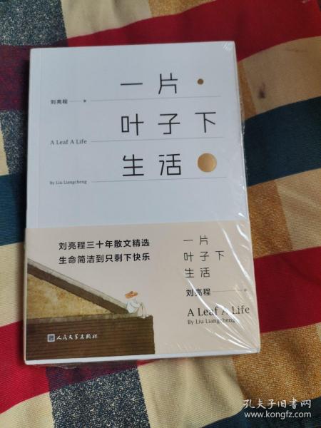 一片叶子下生活