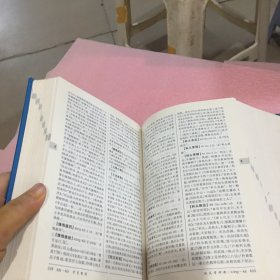 中国成语大辞典