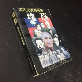 魂殇 国民党失势揭秘【书脊有伤 书口有水印】