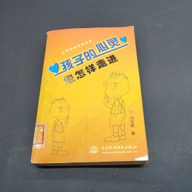 孩子的心灵：您怎样走进 ——心灵自助套餐丛书（特价/封底打有圆孔）