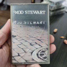 磁带 rod stewart 有破损