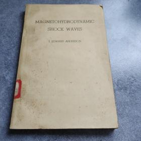 MAGNETOHYDRODYNAMIC SHOCK WAVES[ 磁流体动力骇波*