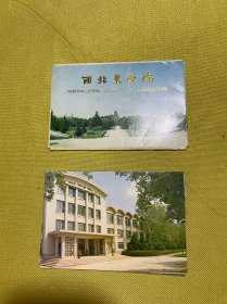 西北农学院明信片1934-1984（9张）