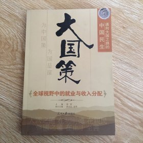 大国策——通向大国之路的中国民生：全球视野中的就业与收入分配