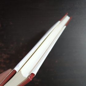 长篇报告文学:心有大我 至诚报国·黄大年