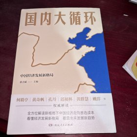 国内大循环(何毅亭、黄奇帆、孔丹、迟福林、姚洋、黄群慧等撰文)