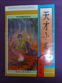 天才小痴（李凉）