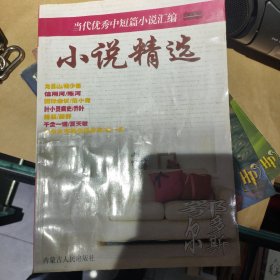 小说精选·栀子卷