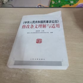 《中华人民共和国民事诉讼法》修改条文理解与适用