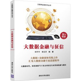 大数据金融与征信/互联网金融系列丛书