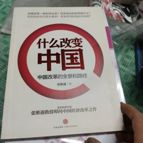 什么改变中国：中国改革的全景和路径