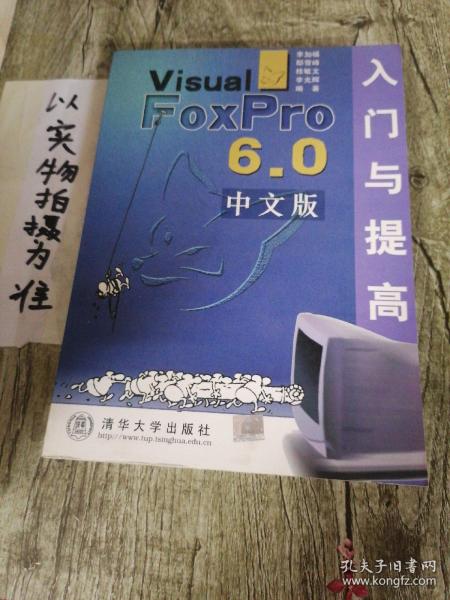 Visual FoxPro 6.0中文版入门与提高