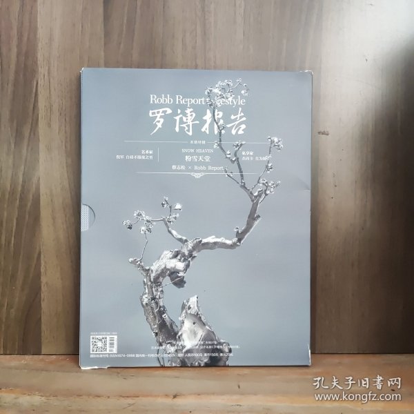 罗博报告 粉雪天堂