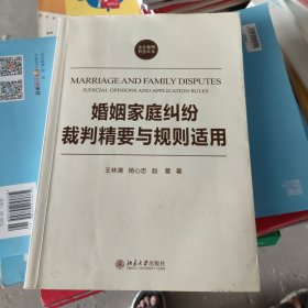 法官裁判智慧丛书：婚姻家庭纠纷裁判精要与规则适用