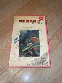 年轻的潇洒：与汪国真对白