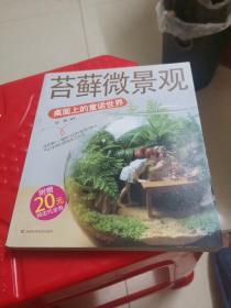 苔藓微景观：桌面上的童话世界