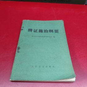 辨证施治纲要