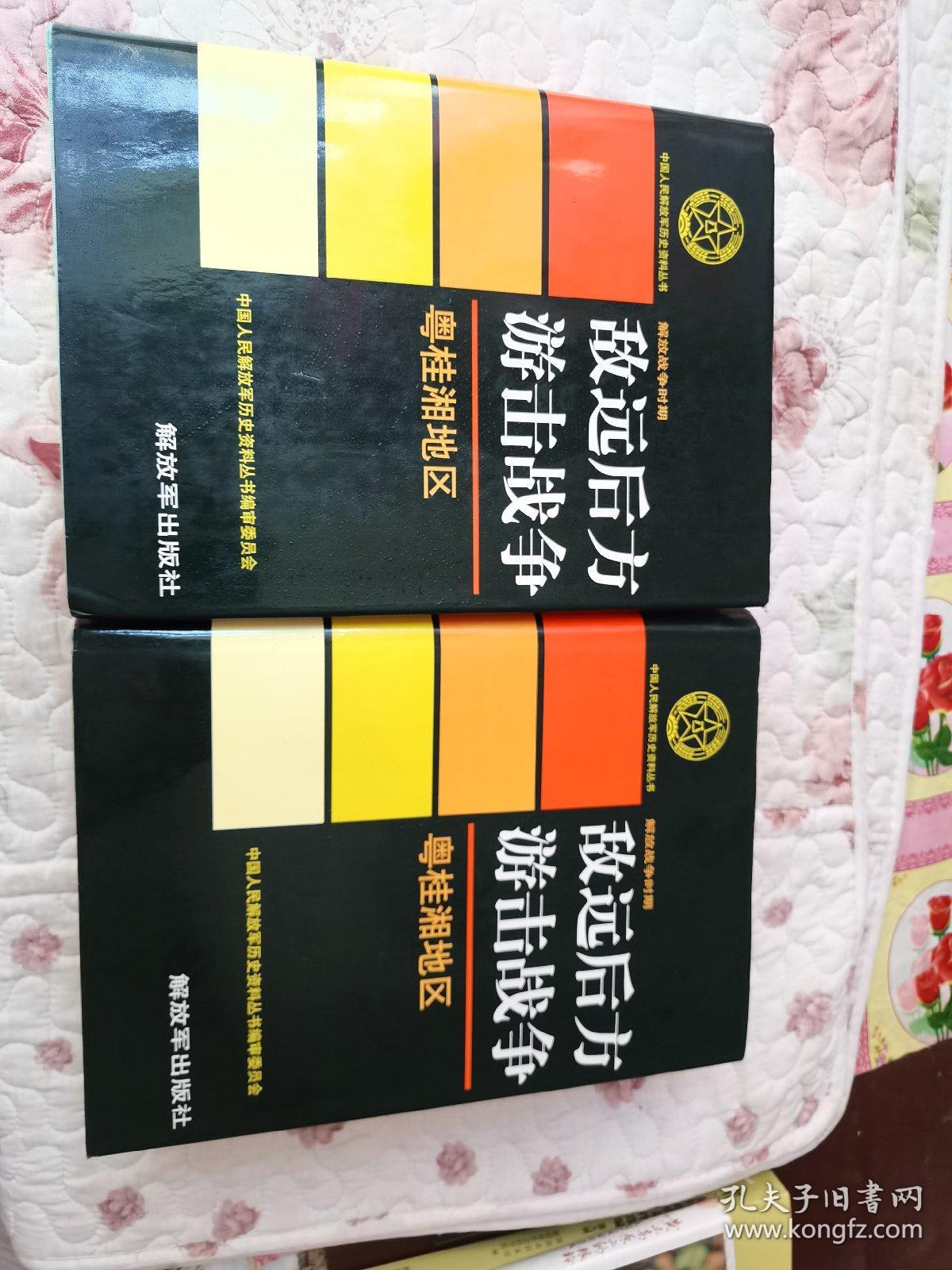 敌远后方游击战争（粤桂湘地区、云贵川康地区）2本合售