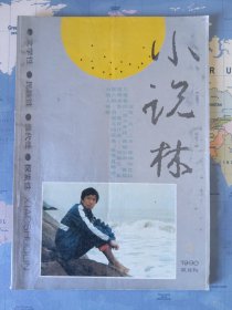 小说林 1990年第3期