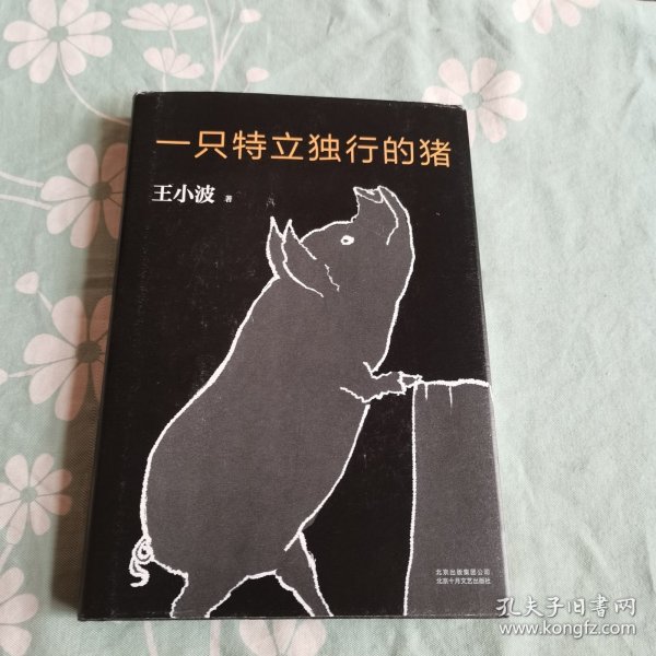 一只特立独行的猪