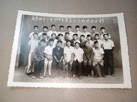 老照片1张，北京四十一中1959年度高三（3）班毕业合影，只有一名女生，看起来像是老师