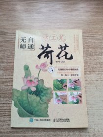 无师自通学工笔荷花