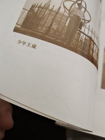 渐显：王崴文集