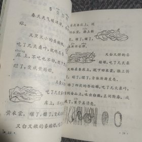 六年制小学课本语文第四册