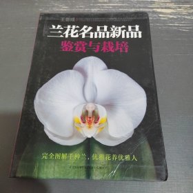 兰花名品新品鉴赏与栽培